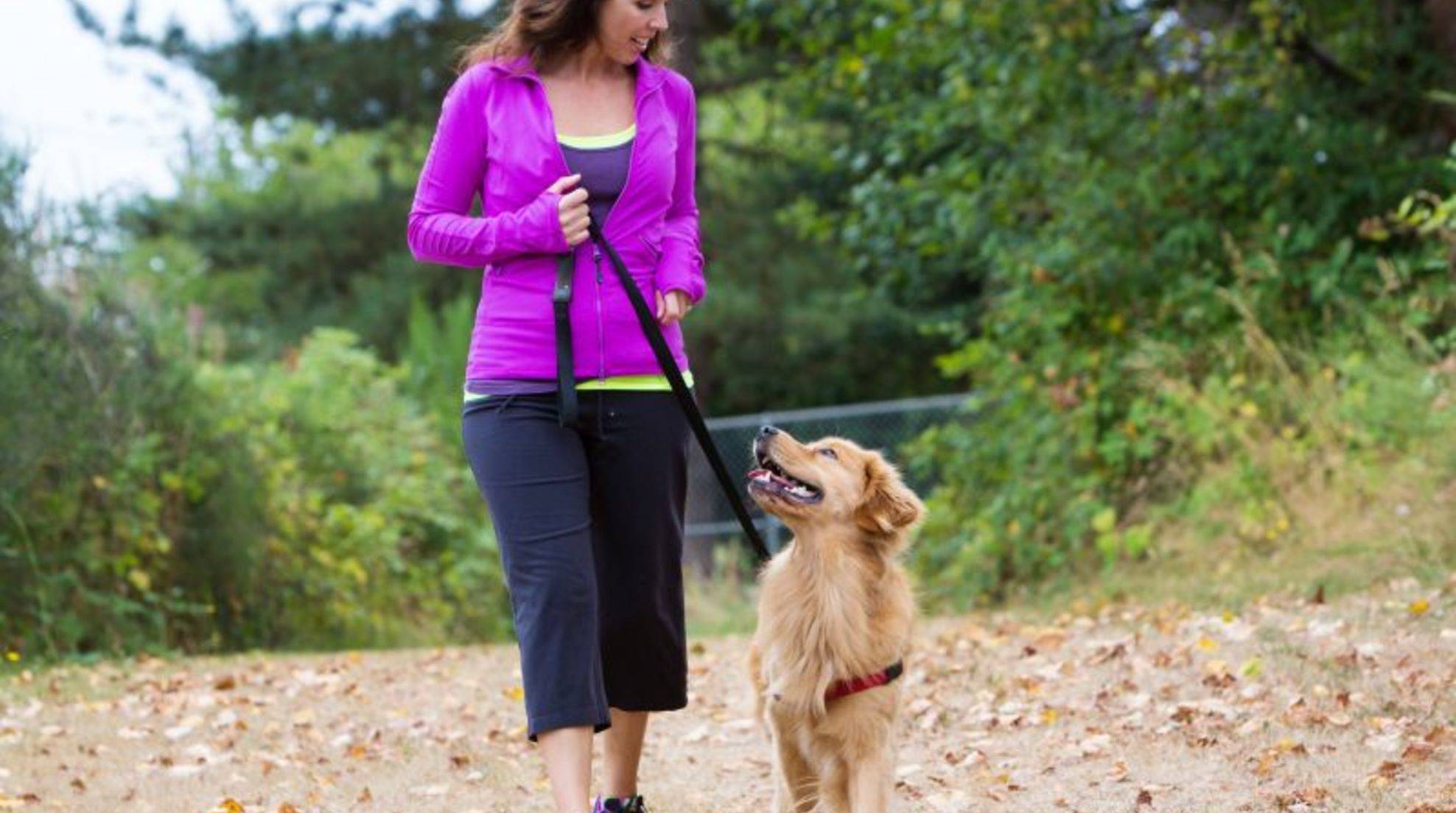 How to teach your dog the "heel" command