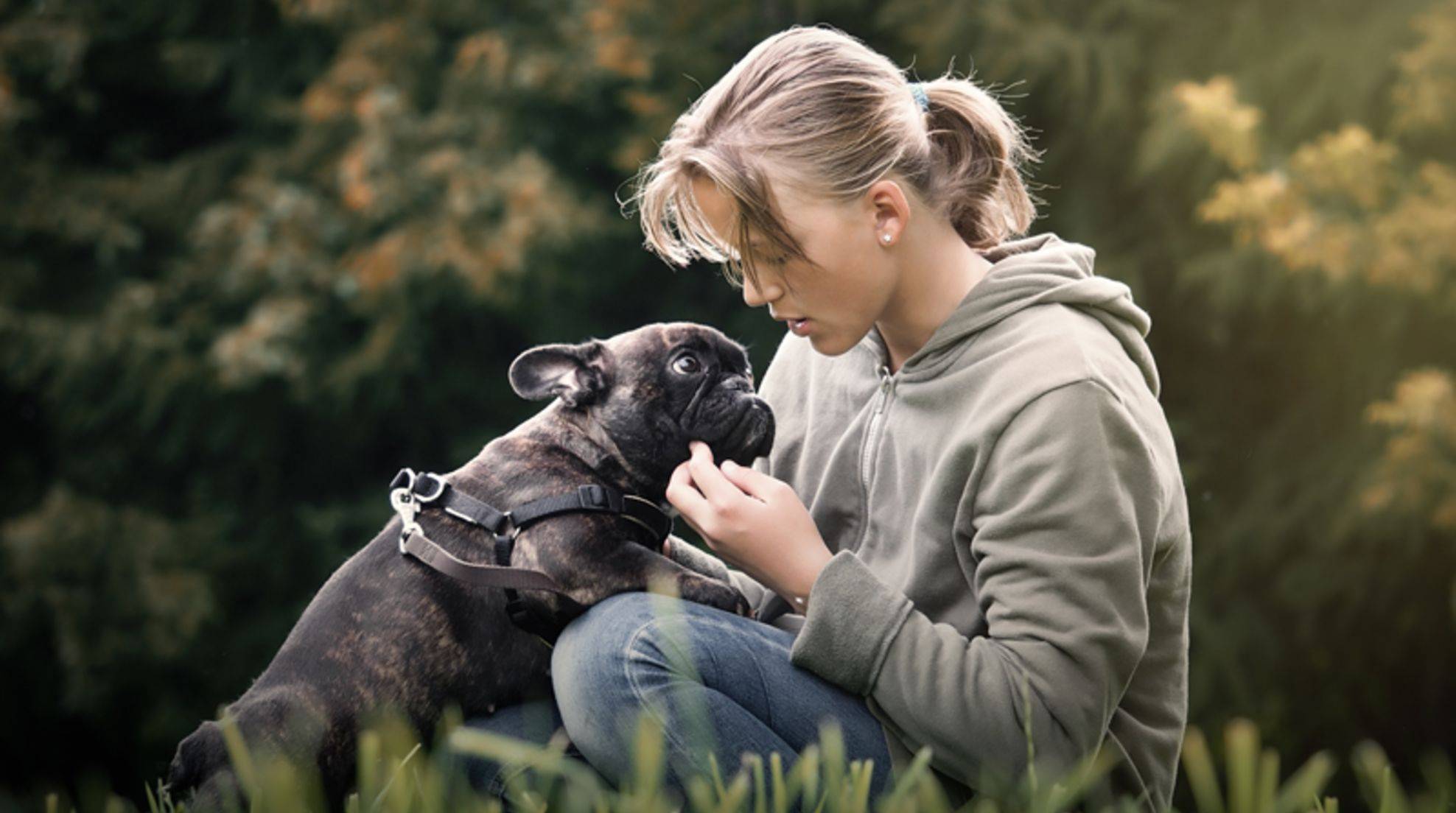 Study shows: Dogs are into baby talk.