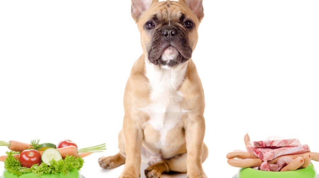 Is vegan dog food healthy?